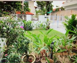 Fernhill Road (D10), Semi-Detached #587622311